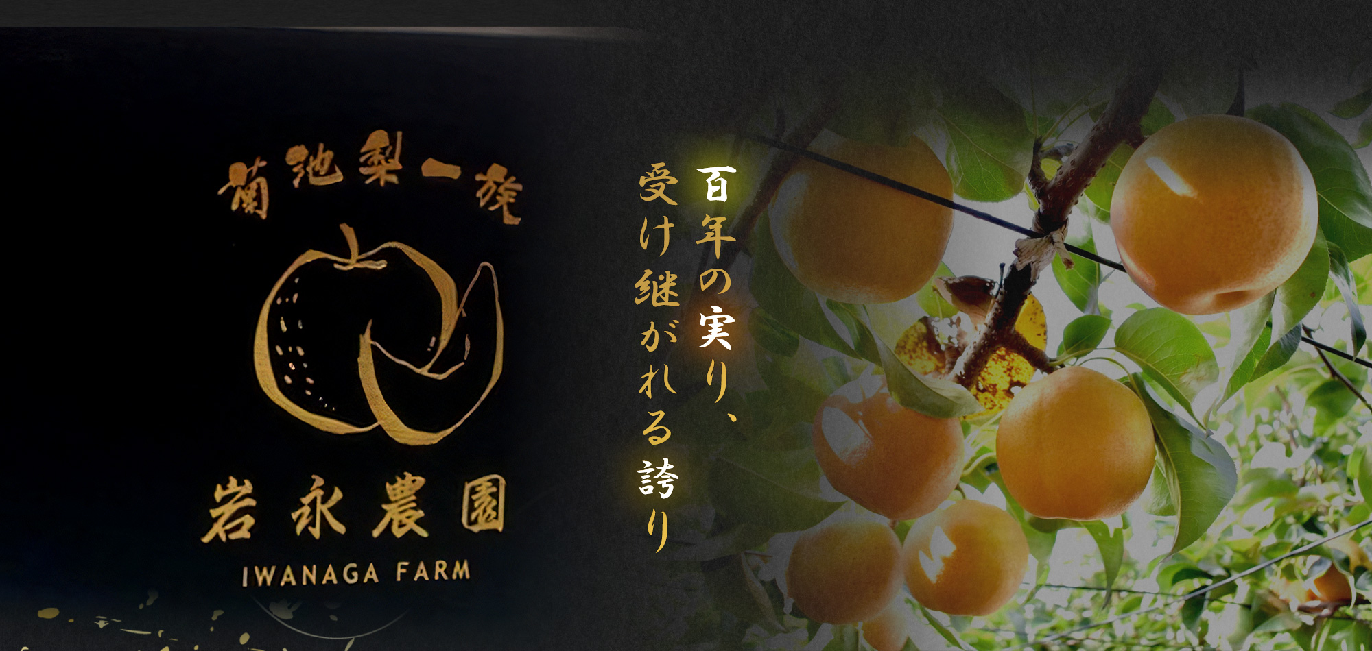 百年の実り、受け継がれる誇り