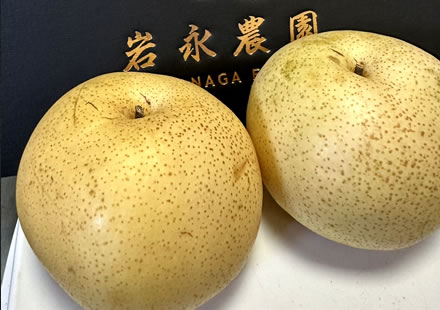 幻の梨「かおり」